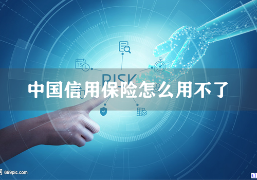 中国信用保险怎么用不了