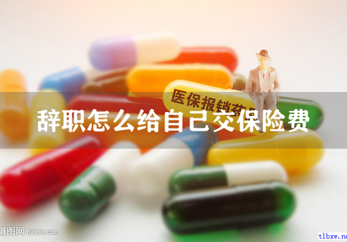 辞职怎么给自己交保险费