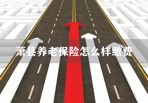 萧县养老保险怎么样缴费
