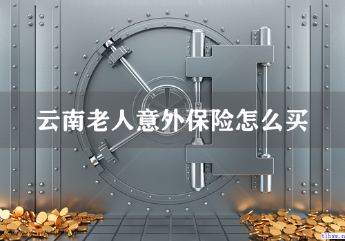 云南老人意外保险怎么买