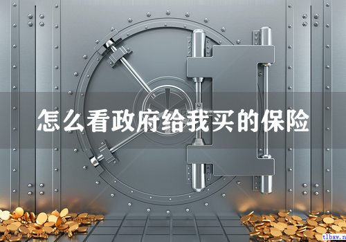 怎么看政府给我买的保险