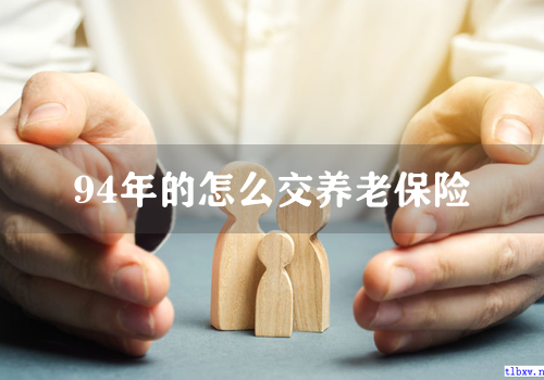 94年的怎么交养老保险
