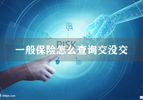 一般保险怎么查询交没交