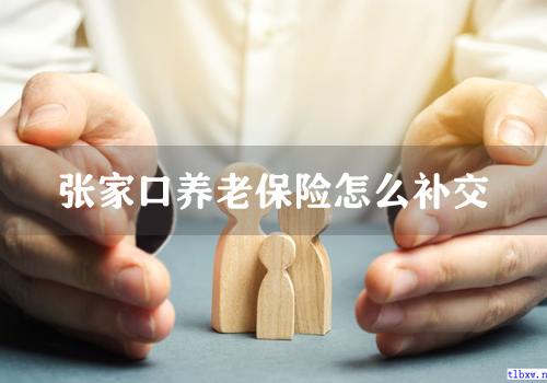 张家口养老保险怎么补交