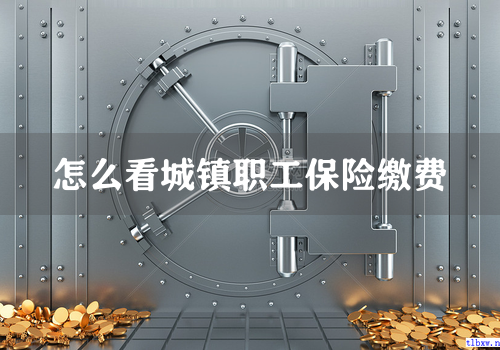 怎么看城镇职工保险缴费