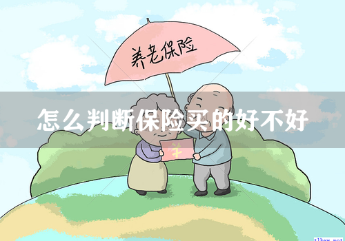 怎么判断保险买的好不好