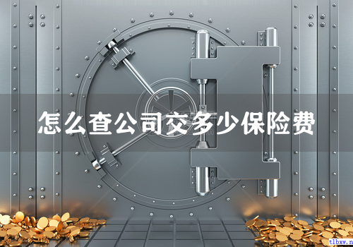 怎么查公司交多少保险费