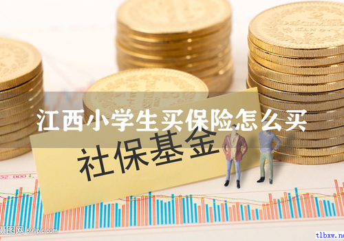 江西小学生买保险怎么买
