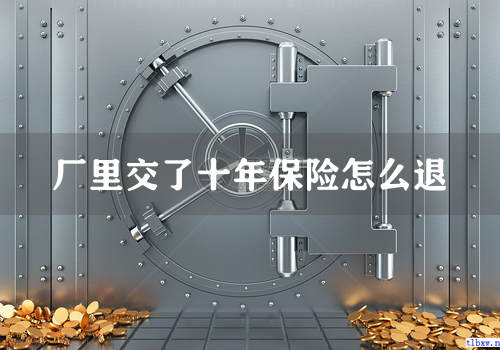 厂里交了十年保险怎么退