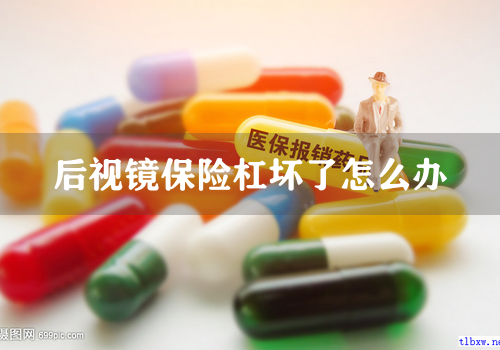 后视镜保险杠坏了怎么办