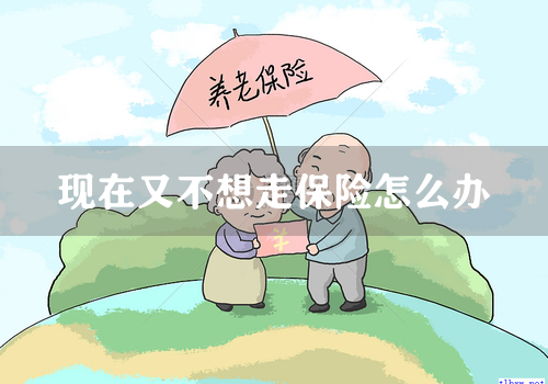 现在又不想走保险怎么办