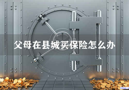 父母在县城买保险怎么办