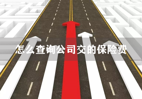 怎么查询公司交的保险费