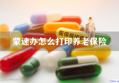 蒙速办怎么打印养老保险