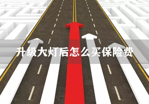 升级大灯后怎么买保险费