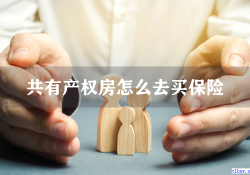 共有产权房怎么去买保险