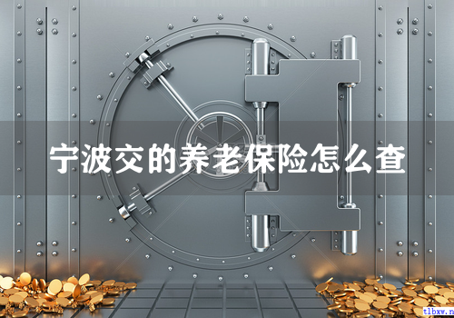 宁波交的养老保险怎么查