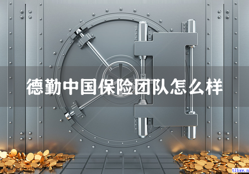 德勤中国保险团队怎么样
