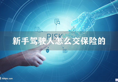 新手驾驶人怎么交保险的