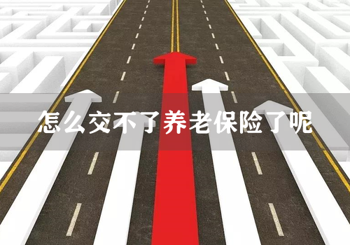 怎么交不了养老保险了呢