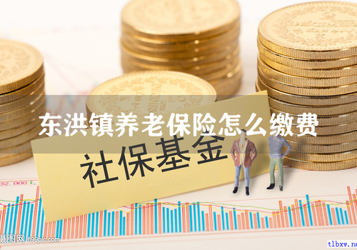 东洪镇养老保险怎么缴费