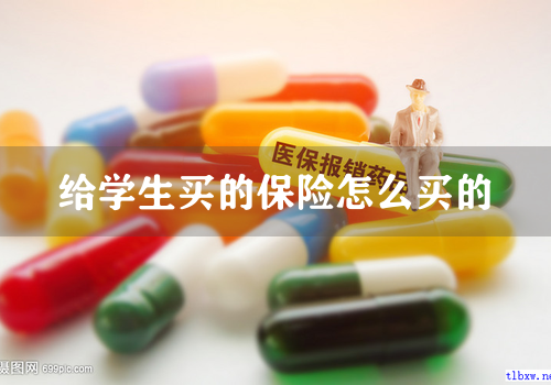 给学生买的保险怎么买的