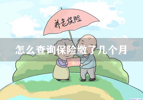 怎么查询保险缴了几个月