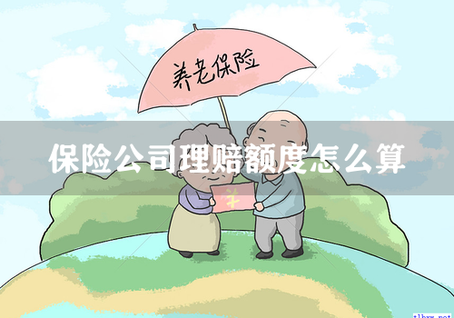 保险公司理赔额度怎么算