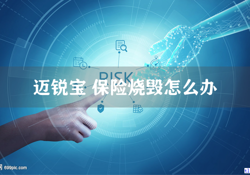 迈锐宝 保险烧毁怎么办