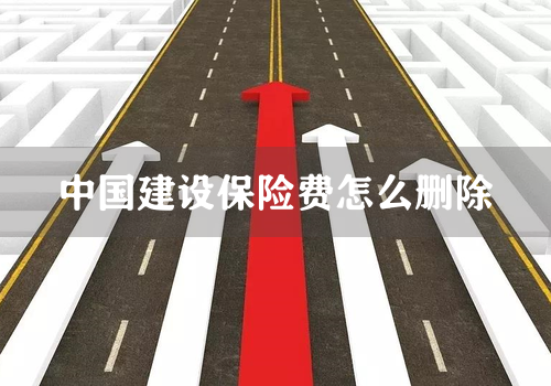 中国建设保险费怎么删除