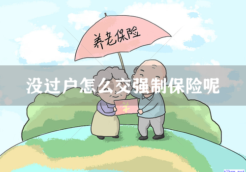 没过户怎么交强制保险呢