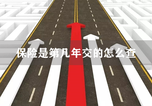 保险是第几年交的怎么查