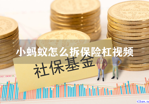 小蚂蚁怎么拆保险杠视频