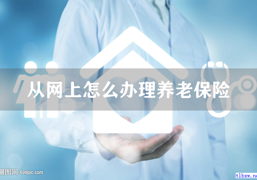 从网上怎么办理养老保险