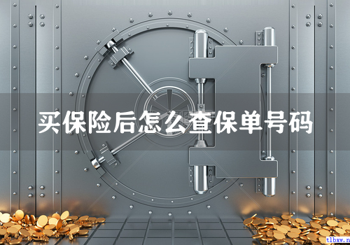 买保险后怎么查保单号码