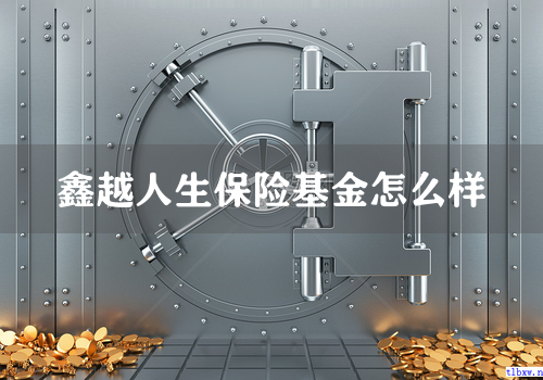 鑫越人生保险基金怎么样