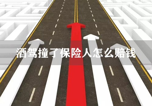 酒驾撞了保险人怎么赔钱