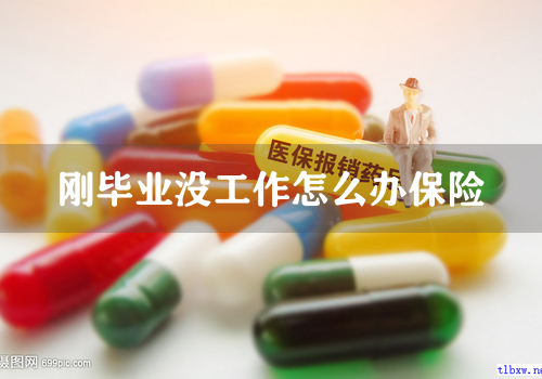 刚毕业没工作怎么办保险