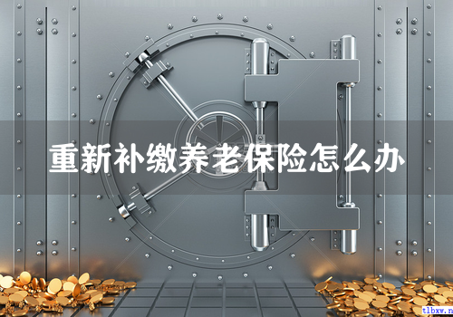 重新补缴养老保险怎么办