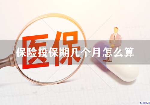 保险投保期几个月怎么算