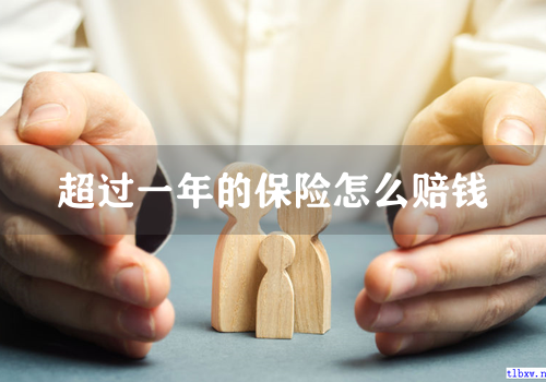 超过一年的保险怎么赔钱