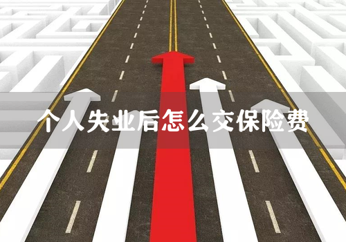 个人失业后怎么交保险费