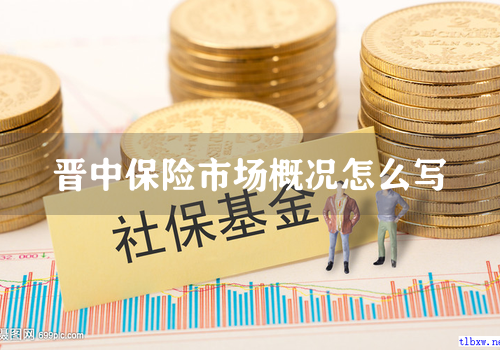 晋中保险市场概况怎么写