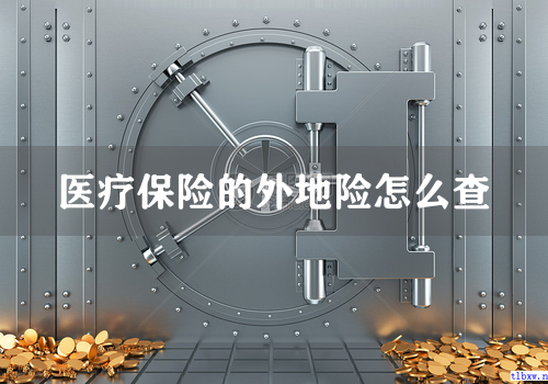 医疗保险的外地险怎么查