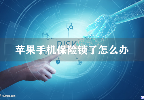 苹果手机保险锁了怎么办