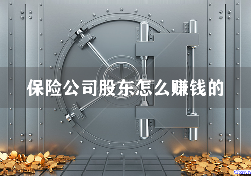 保险公司股东怎么赚钱的