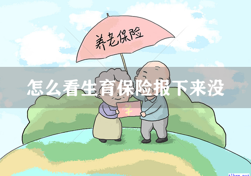 怎么看生育保险报下来没