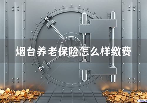 烟台养老保险怎么样缴费