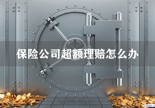 保险公司超额理赔怎么办