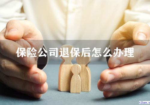 保险公司退保后怎么办理
